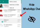 how to hide whatsapp chat in android phone, how to hide chat in whatsapp with password, how to hide chat in whatsapp without archive