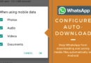 stop WhatsApp media auto-download on your Android device