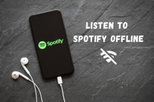 How to listen to Spotify offline - Download Spotify Songs