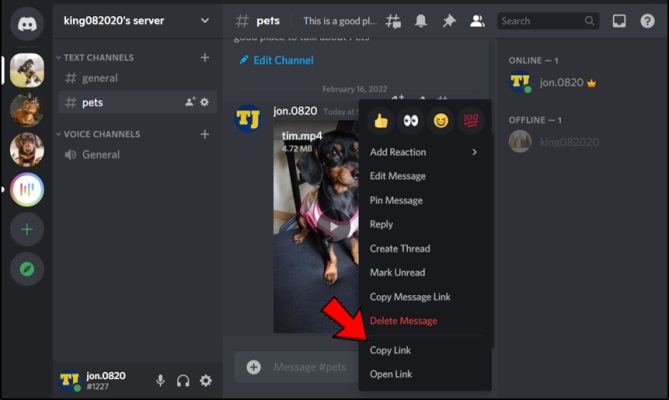 Discord image preview not working