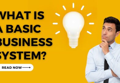 What is a Basic Business System