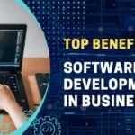 Benefits of Software Development in Businesses