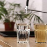 Exploring Water Filtration A Guide to Different Types